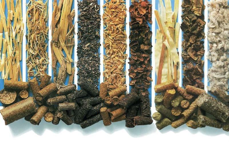 Why promote biomass pellet fuel molding?